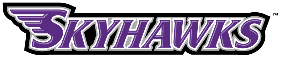 Stonehill Skyhawks 2005-2017 Wordmark Logo v4 diy DTF decal sticker